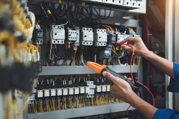 Best Electric Panel Repair  in Live Oak, FL